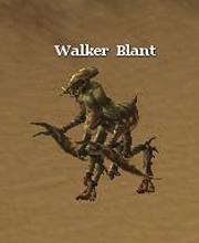 Walker Blant