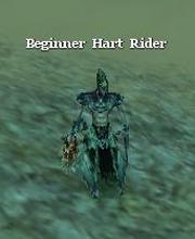 Beginner Hart Rider