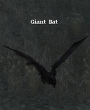 Giant Bat