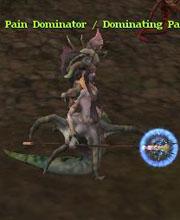 Pain Dominator / Dominating Pain