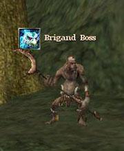 Brigand Boss
