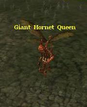 Giant Hornet Queen