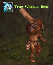 True Warrior Boss