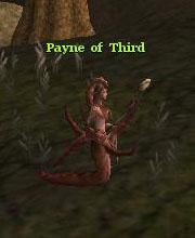 Payne of Third