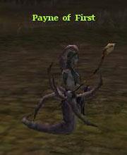 Payne of First
