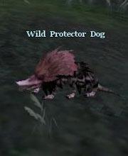 Wild Protector Dog