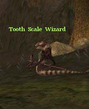 Tooth Scale Wizard