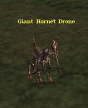 Giant Hornet Drone