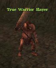True Warrior Slayer