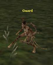 Betrayer Guardian
