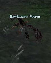 Hawkarrow Worm