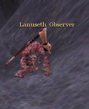 Lanuseth Observer