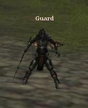 Royal Guard Wizard