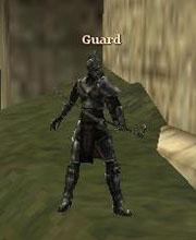 Royal Guard Archer