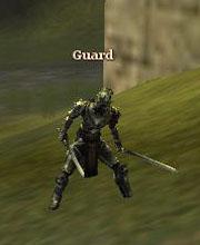 Royal Guard Knight
