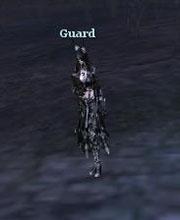Guard Wizard