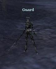 Guard Warrior