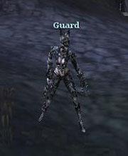 Guard Archer
