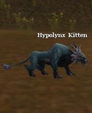Hypolynx Kitten