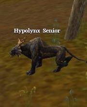 Hypolynx Senior