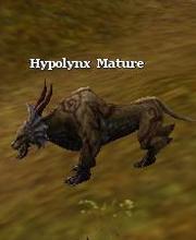 Hypolynx Mature