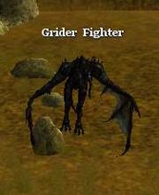 Grider Fighter