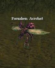Forsaken Acrobat