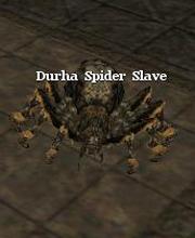 Durha Spider Slave