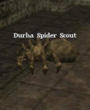 Durha Spider Scout