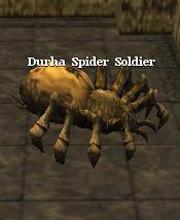 Durha Spider Soldier