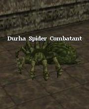 Durha Spider Combatant