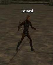 Ghost Guard