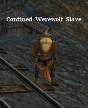Confined Werewolf Slave