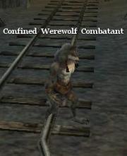 Confined Werewolf Combatant