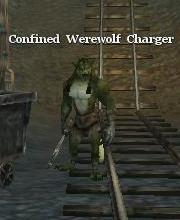 Confined Werewolf Charger