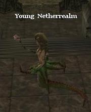 Young Netherrealm