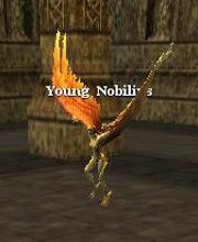 Young Nobilius