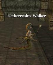 Netherrealm Walker