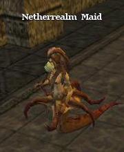 Netherrealm Maid