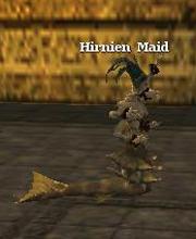 Hirnien Maid