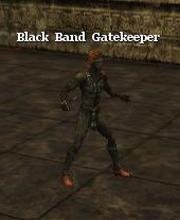 Black Band Gatekeeper