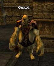 Dututum Guard
