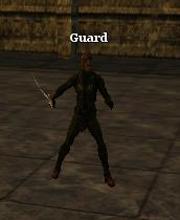 Black Band Guard