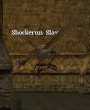 Shockerun Slave