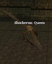 Shockerun Queen