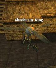 Shockerun King