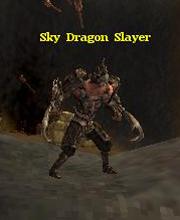 Sky Dragon Slayer