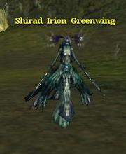 Shirad Irion Greenwing