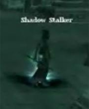 Shadow Stalker