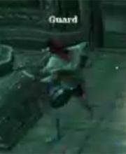 Karin Guardian